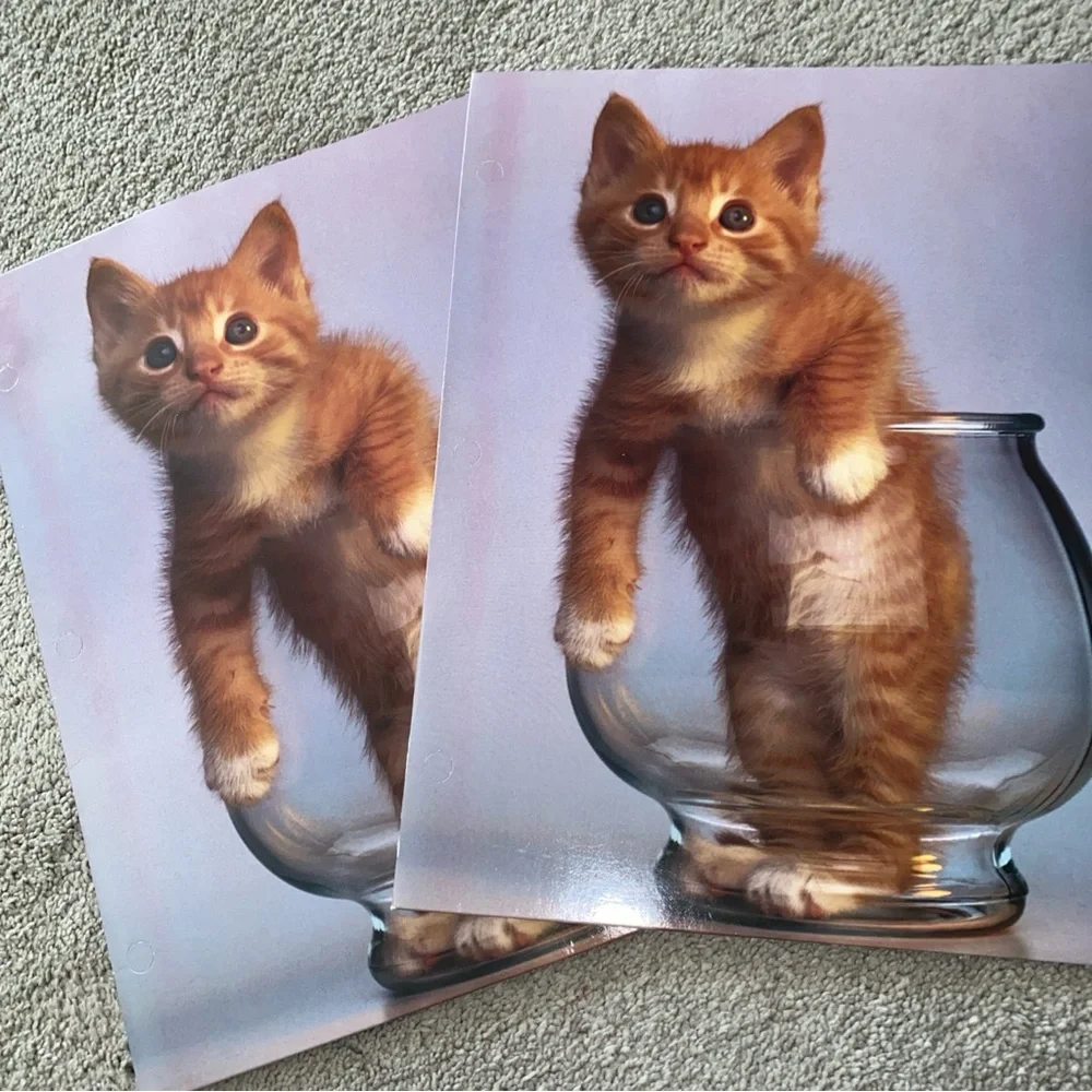 Vintage G.K. & Vikki Hart Photography Mead Portfolio Folder Cat Purrs &‎ Grrrs 2